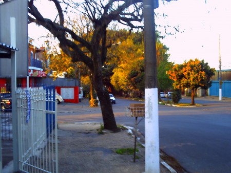 Campinas Sp: Av. Estados Unidos ------- 