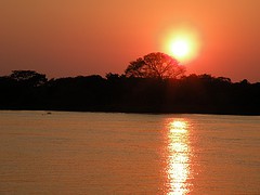 FOTO TIRADA DO PANTANAL NO ESTADO DE MATO GROSSO.